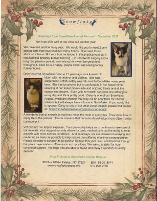 Christmas Newsletter